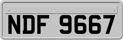 NDF9667