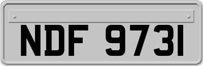 NDF9731
