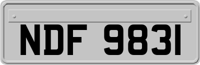 NDF9831