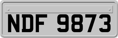 NDF9873