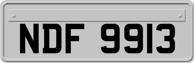 NDF9913