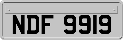 NDF9919