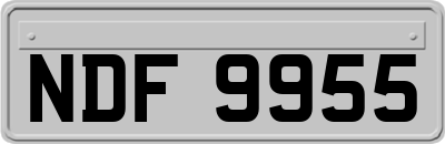 NDF9955