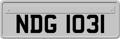 NDG1031