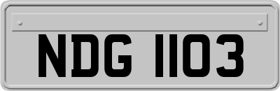 NDG1103