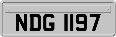 NDG1197