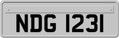 NDG1231