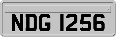 NDG1256