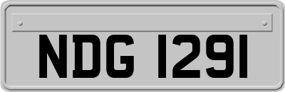 NDG1291