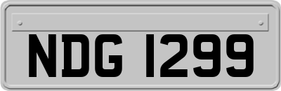 NDG1299
