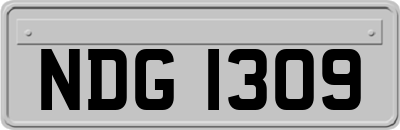 NDG1309