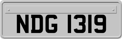 NDG1319