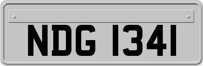 NDG1341