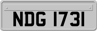 NDG1731