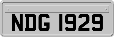 NDG1929