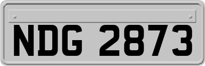 NDG2873