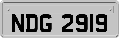 NDG2919