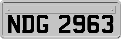 NDG2963