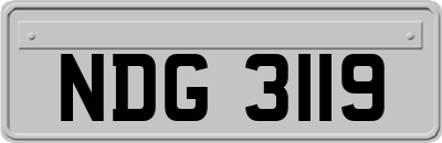 NDG3119