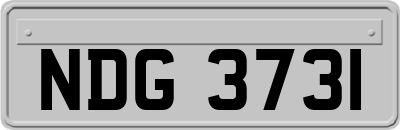 NDG3731