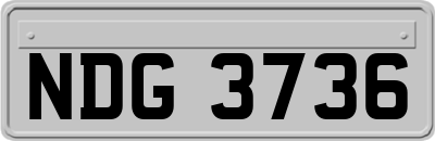 NDG3736