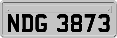 NDG3873