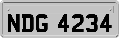NDG4234