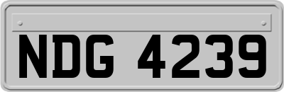 NDG4239