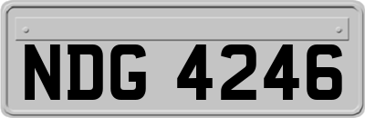 NDG4246
