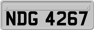 NDG4267