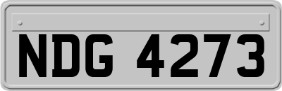 NDG4273