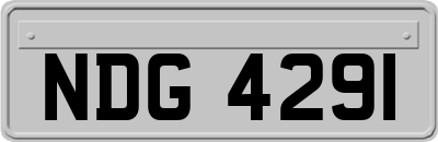 NDG4291