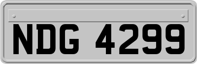 NDG4299