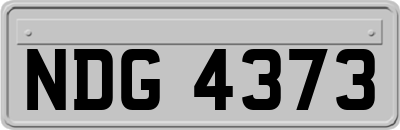 NDG4373
