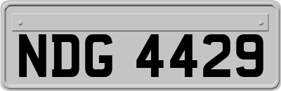 NDG4429