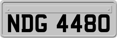 NDG4480
