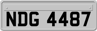 NDG4487