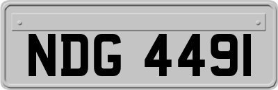 NDG4491