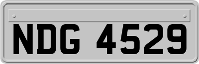NDG4529