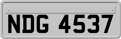 NDG4537