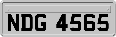 NDG4565