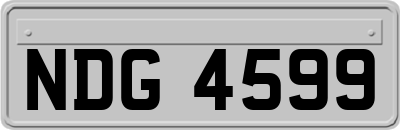 NDG4599