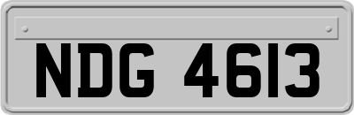 NDG4613