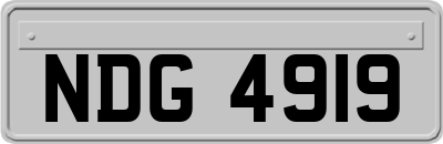 NDG4919