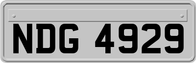NDG4929