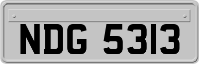 NDG5313