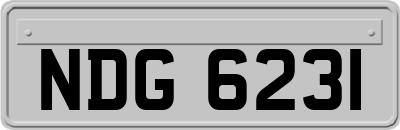 NDG6231