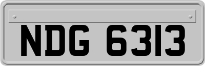 NDG6313