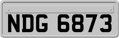 NDG6873