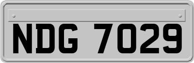 NDG7029
